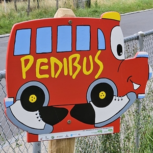 pedibus-photo